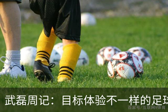 武磊周记：目标体验不一样的足球 这是追寻的意义